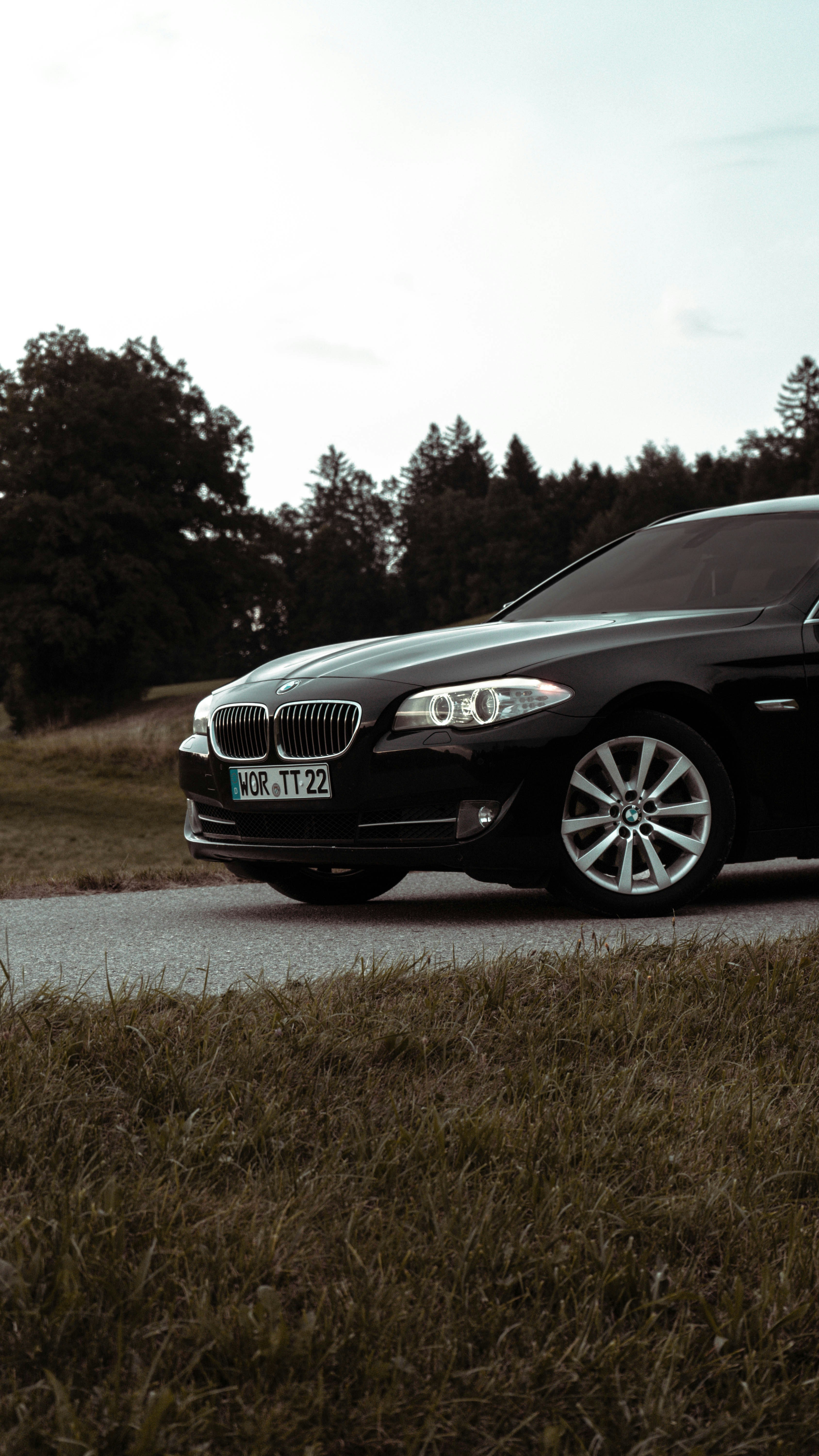 e.l.f. Beauty, Inc. logo