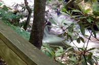 A peaceful outdoor scene with a person journaling beside a flowing stream.