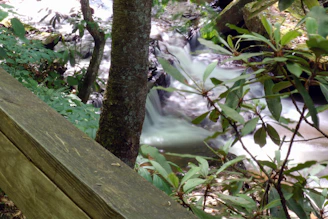 A peaceful outdoor scene with a person journaling beside a flowing stream.