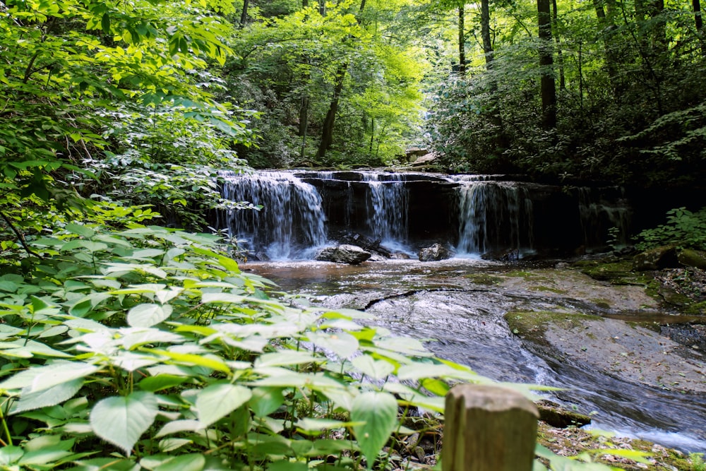 a waterfall in a forest