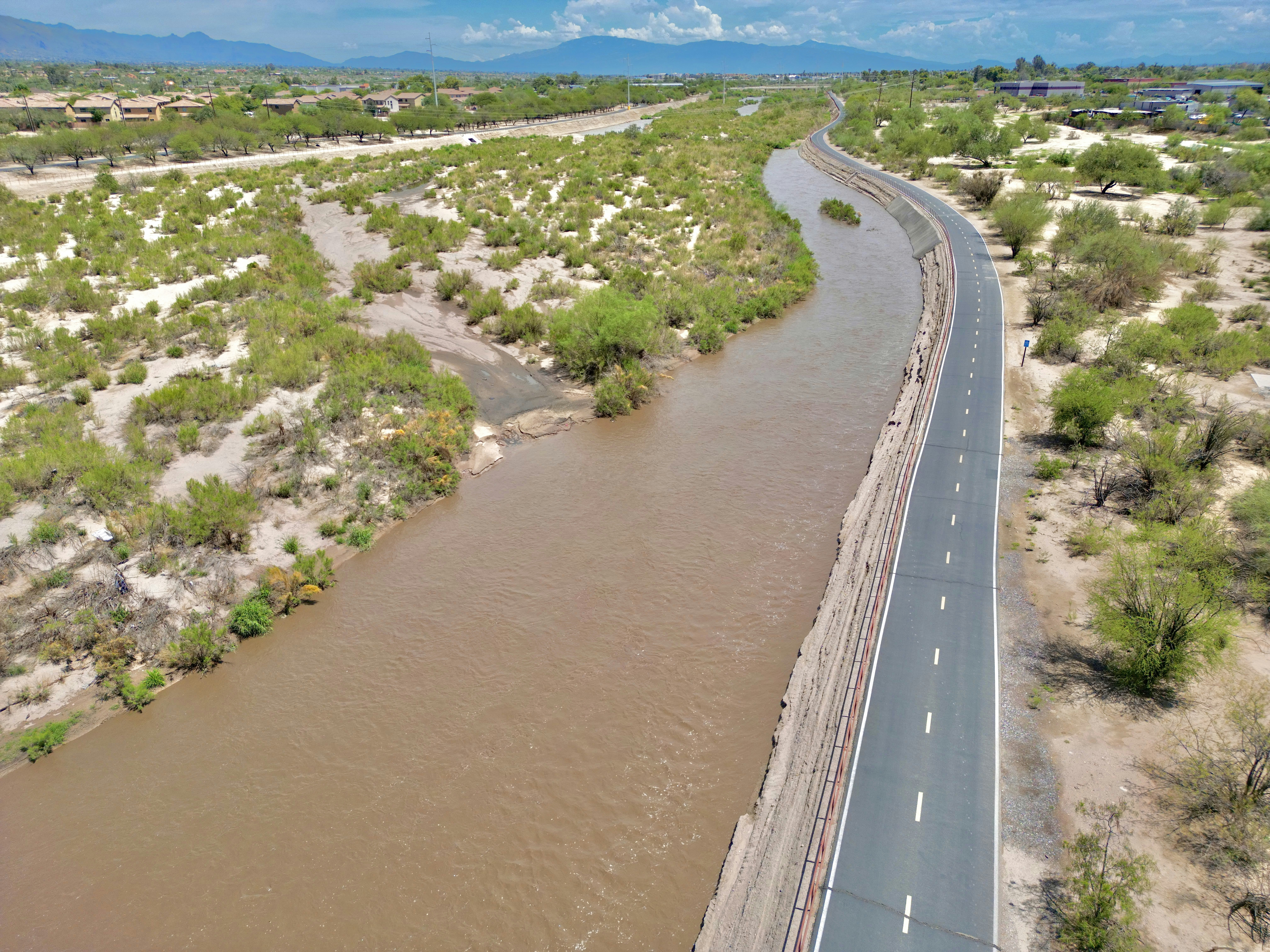 a road with water and plants on the side