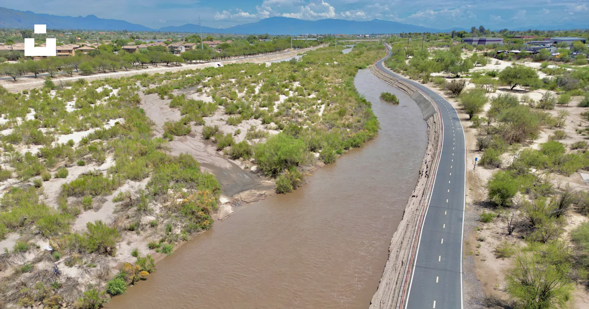 A Road With Water And Plants On The Side Photo Free Brown Image On A Road With Water And Plants On The Side Photo Free Brown Image On