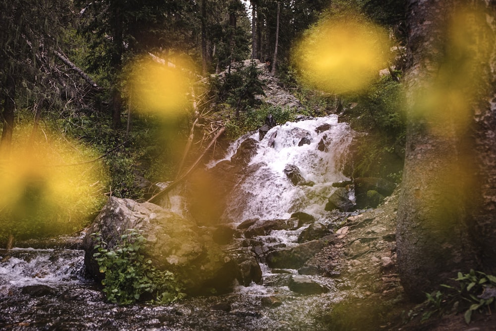 a waterfall in a forest