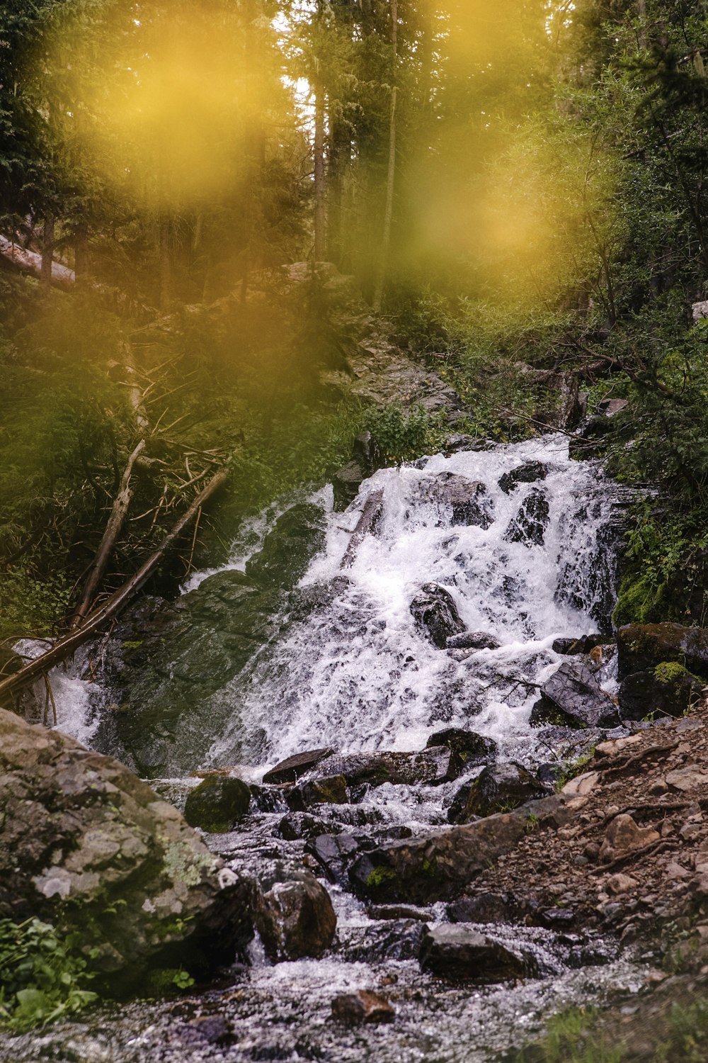 a waterfall in a forest