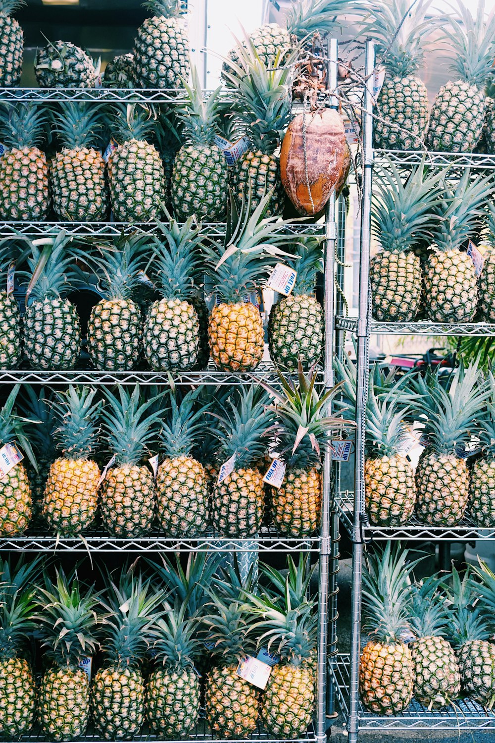 a group of pineapples