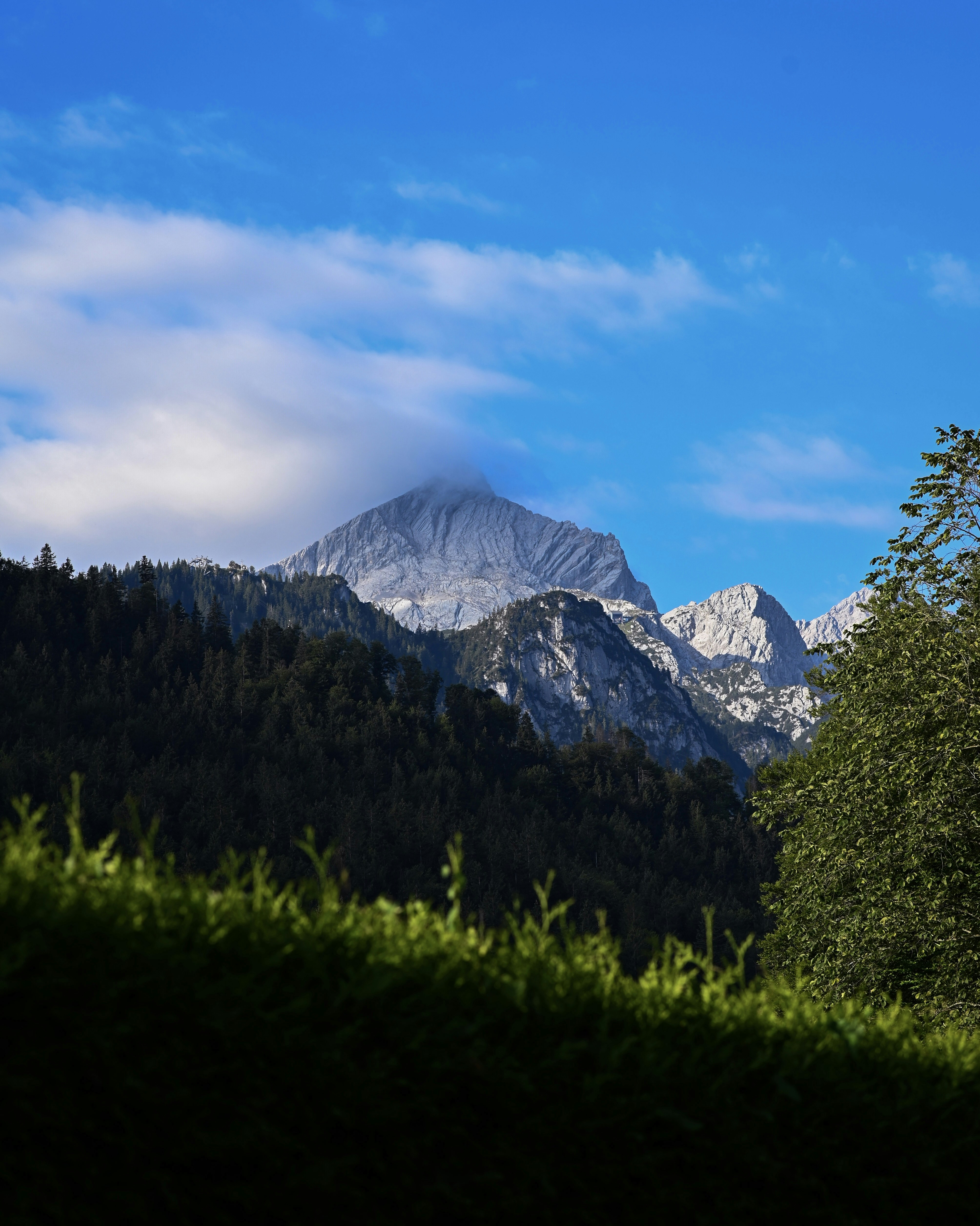 Photo by mortezakhalili