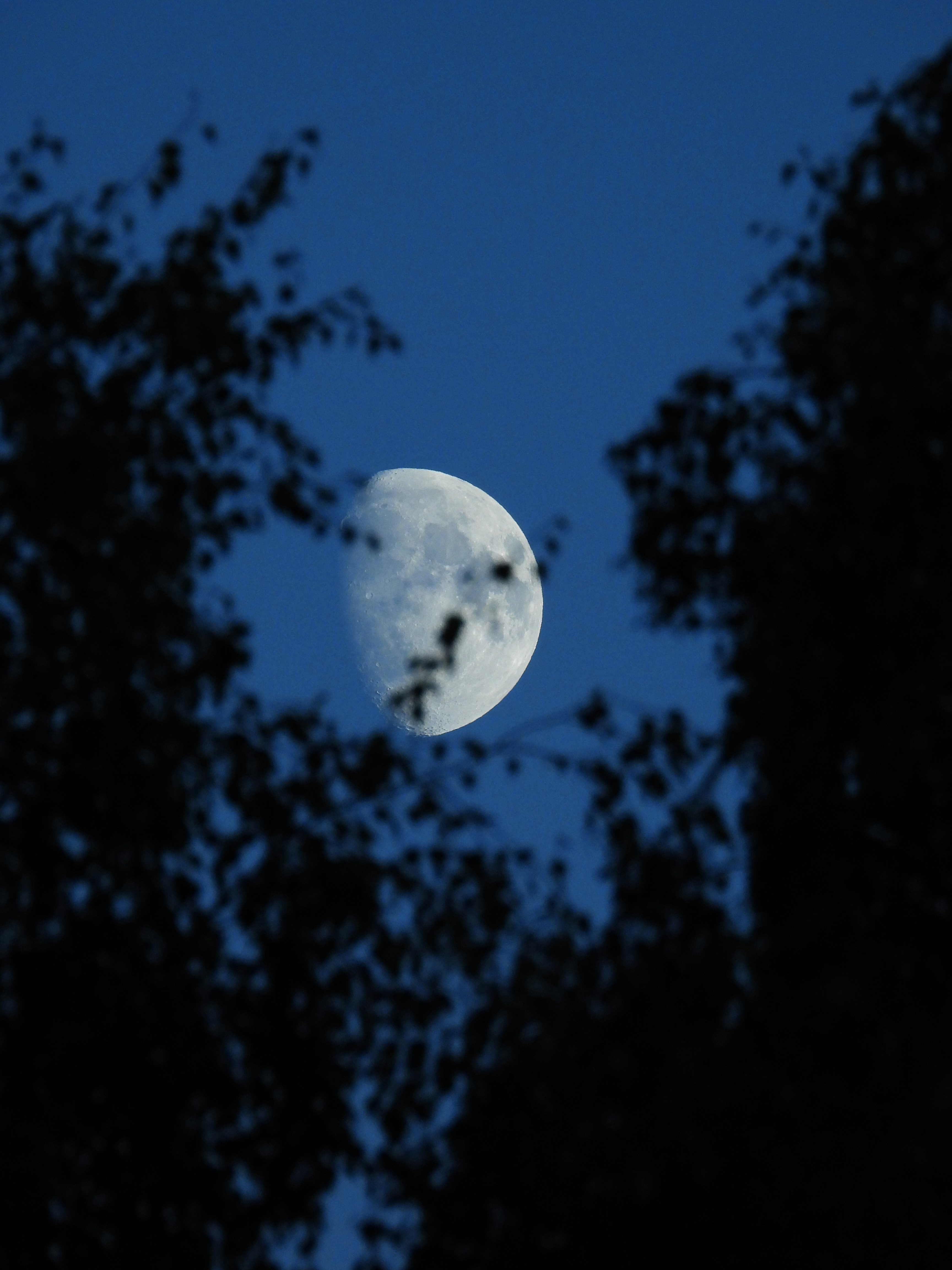 Photo by mortezakhalili