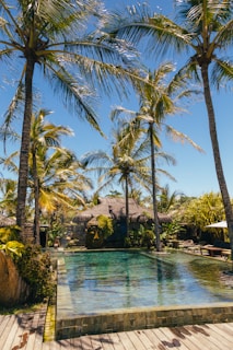 a pool with palm trees around it