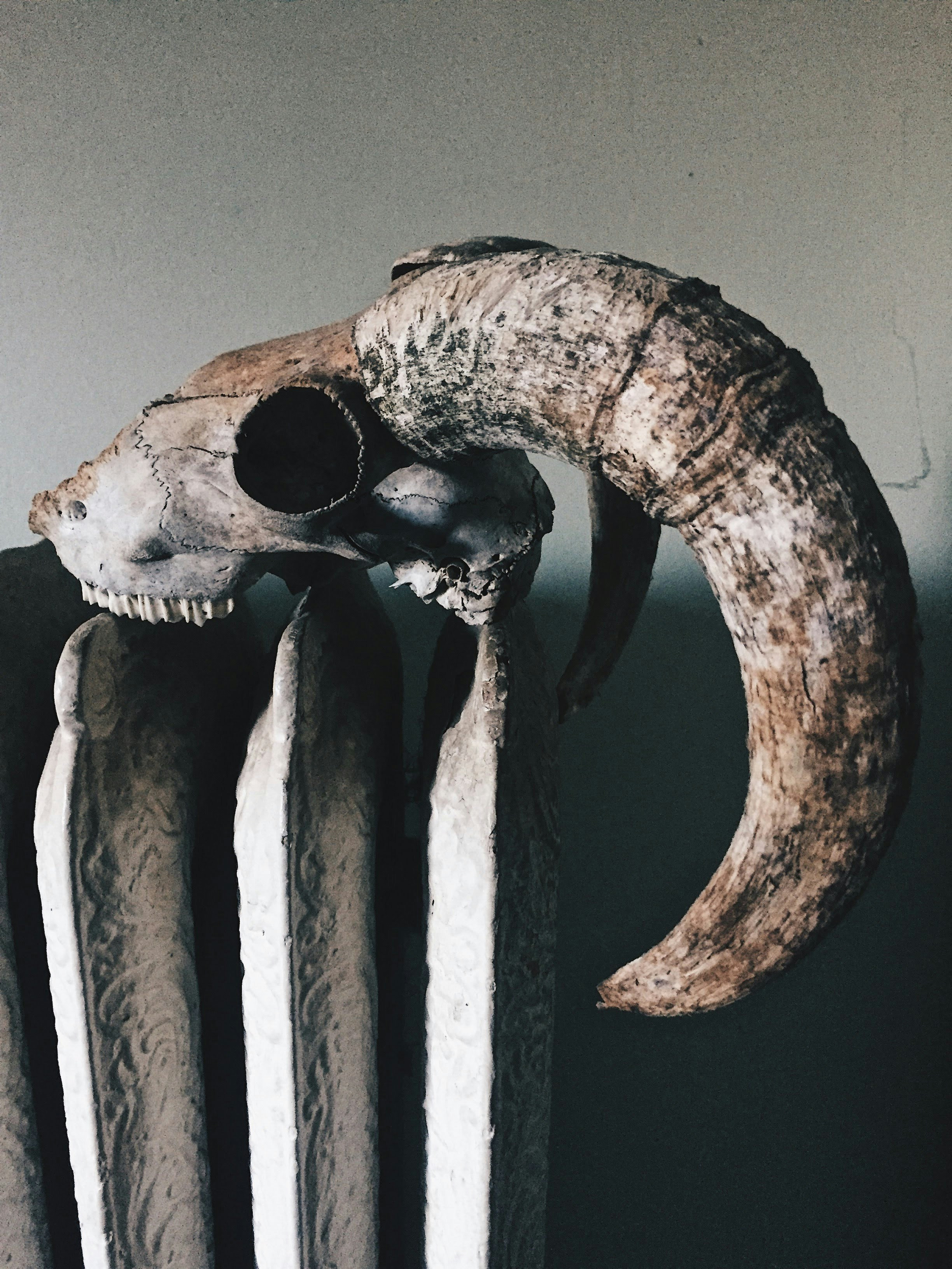 The Mysterious Discovery That Baffled 17th Century Scientists (image credits: unsplash)