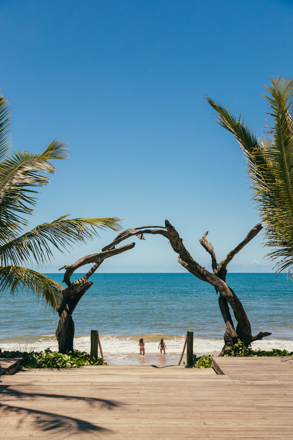 a group of people on a beach