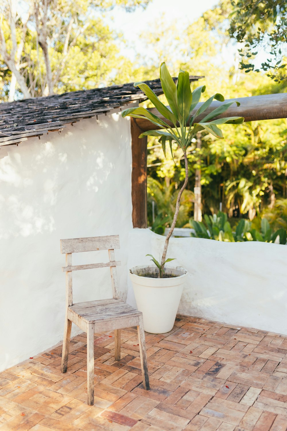 una silla y una planta en maceta en un patio