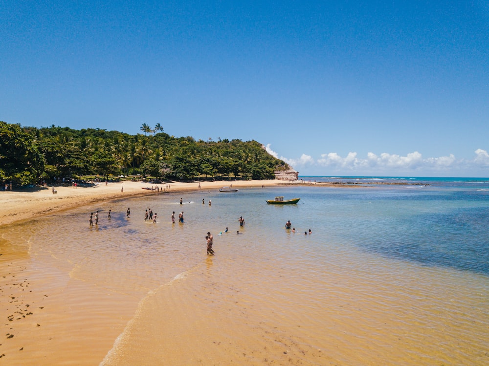 a group of people on a beach