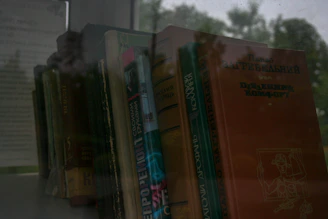 a group of books on a shelf