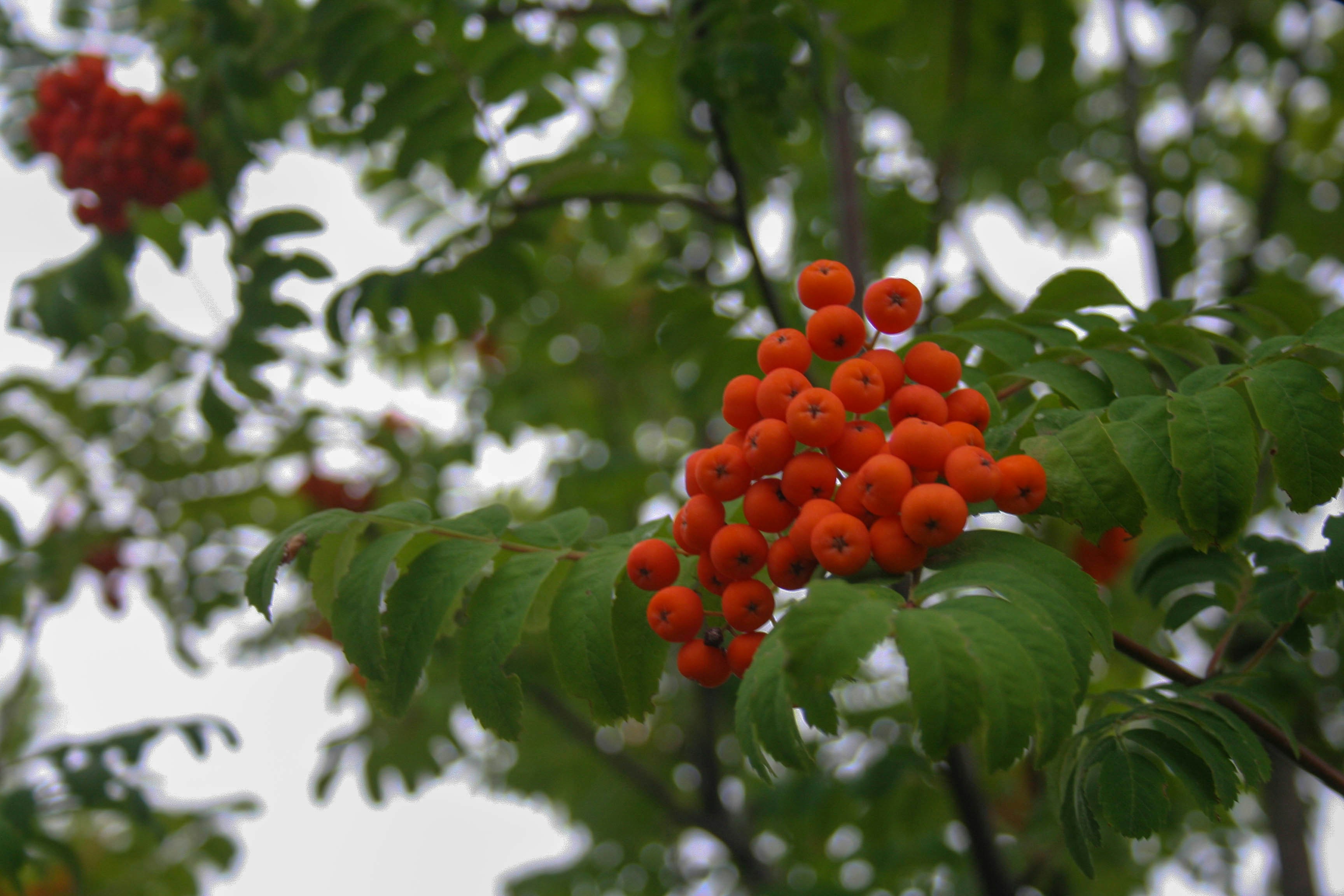 Photo by darrrrr_yaaaa