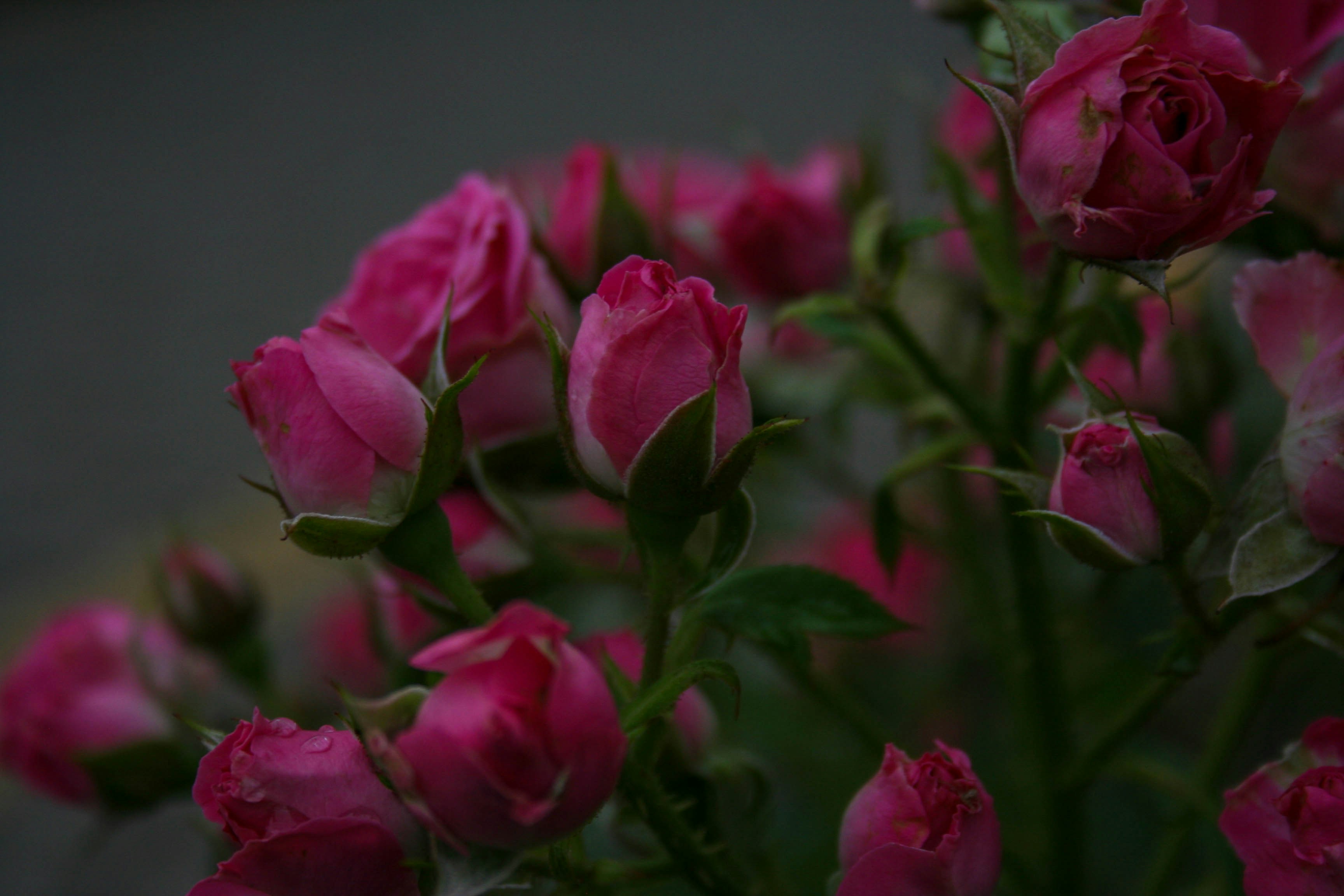 Photo by darrrrr_yaaaa