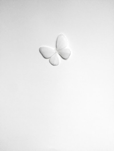 a light fixture on a wall