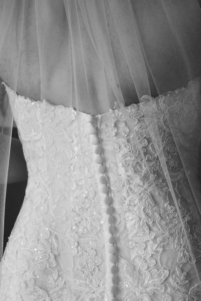 Lace bodice with covered buttons seen from behind under a veil