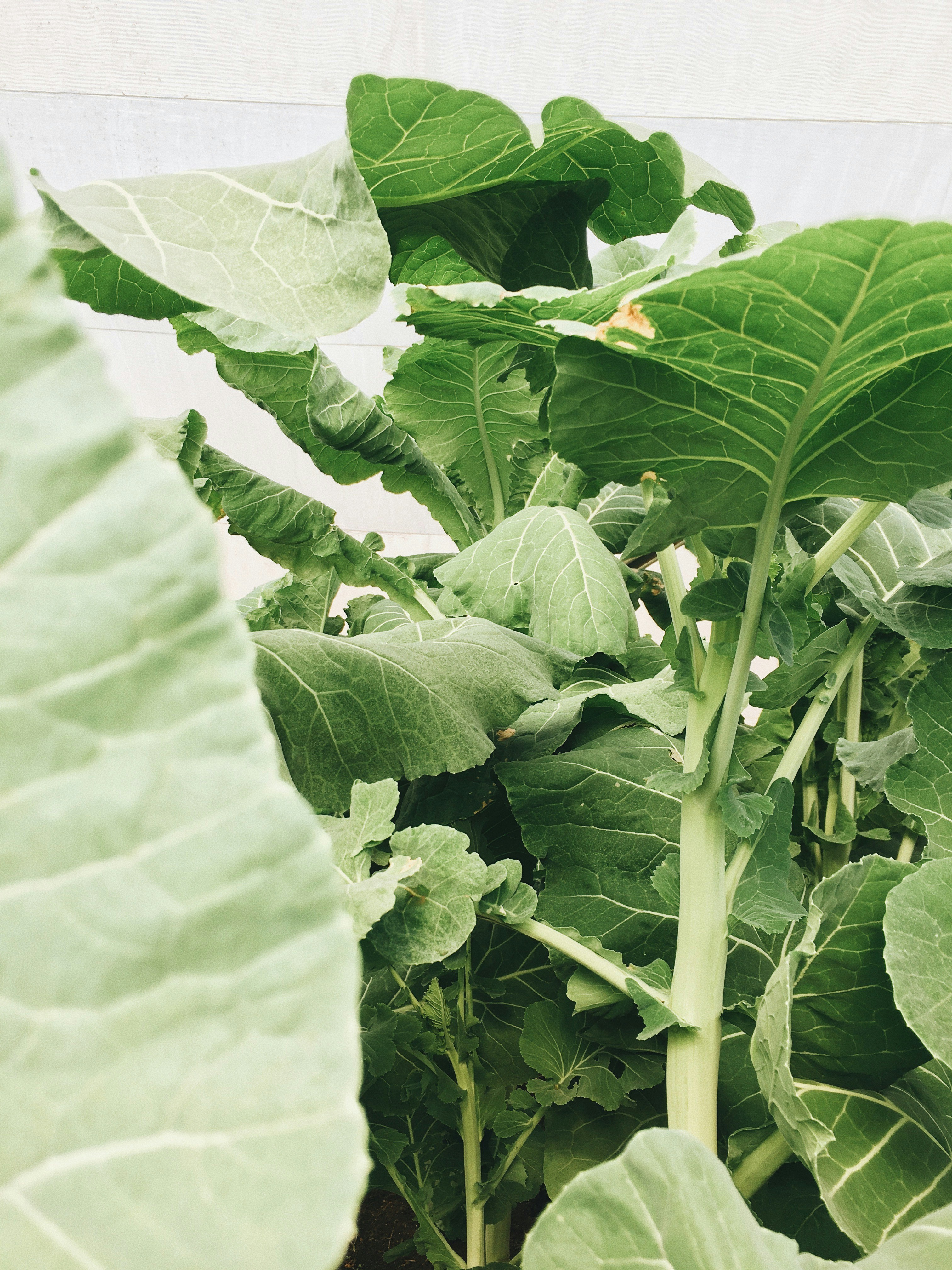 Photo by brendongrota