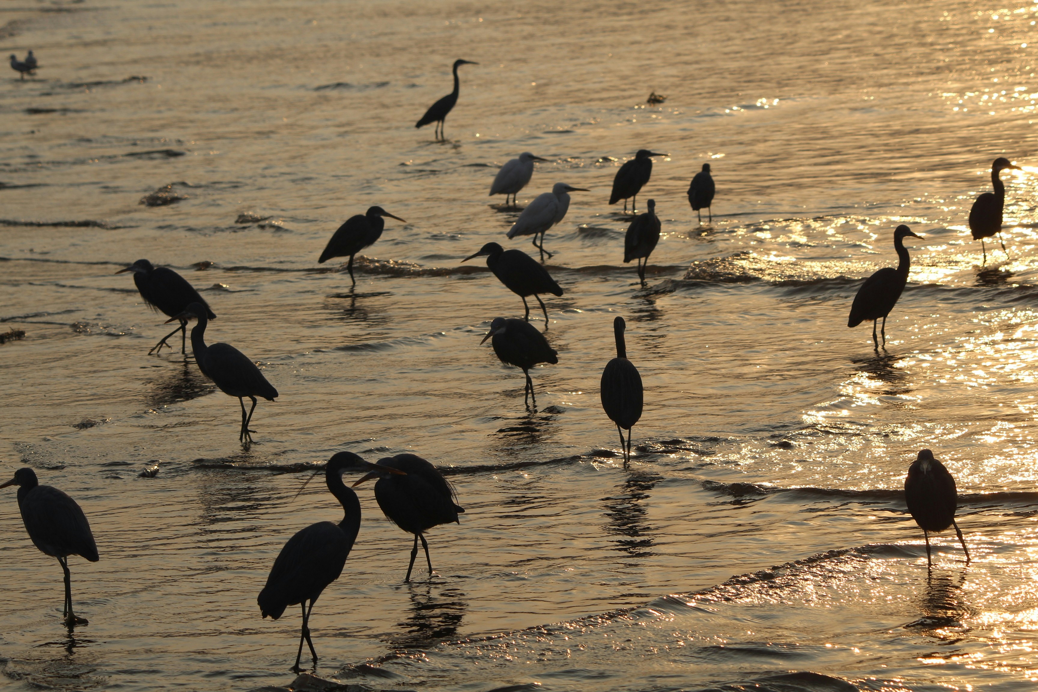 Photo by kaustubhhirve