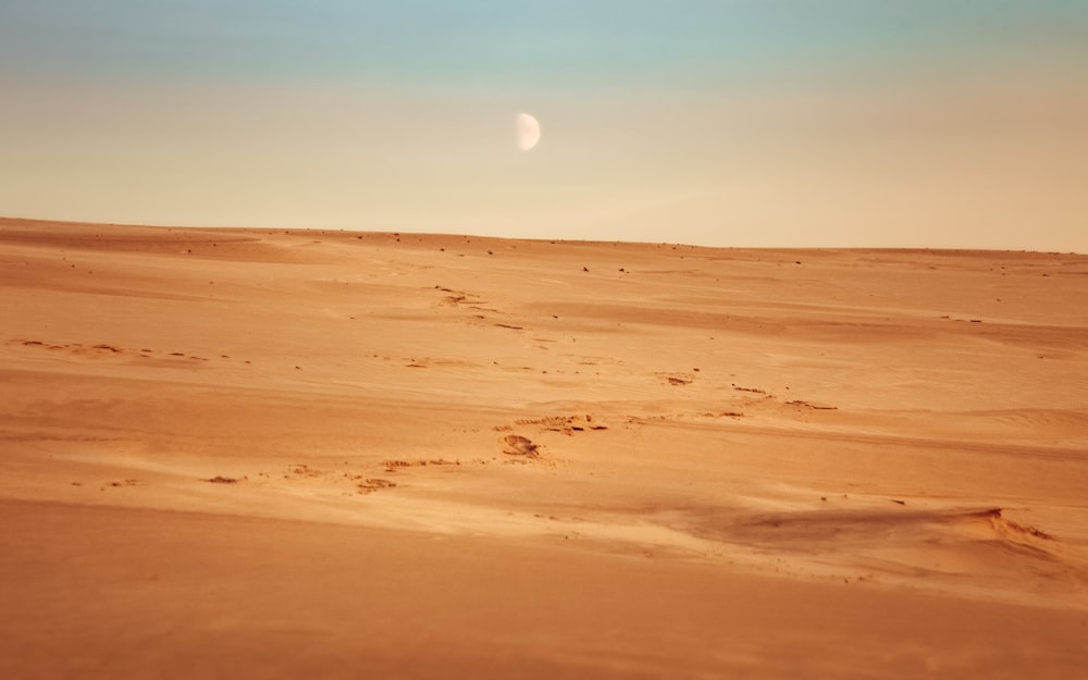 a desert landscape with the moon in the sky