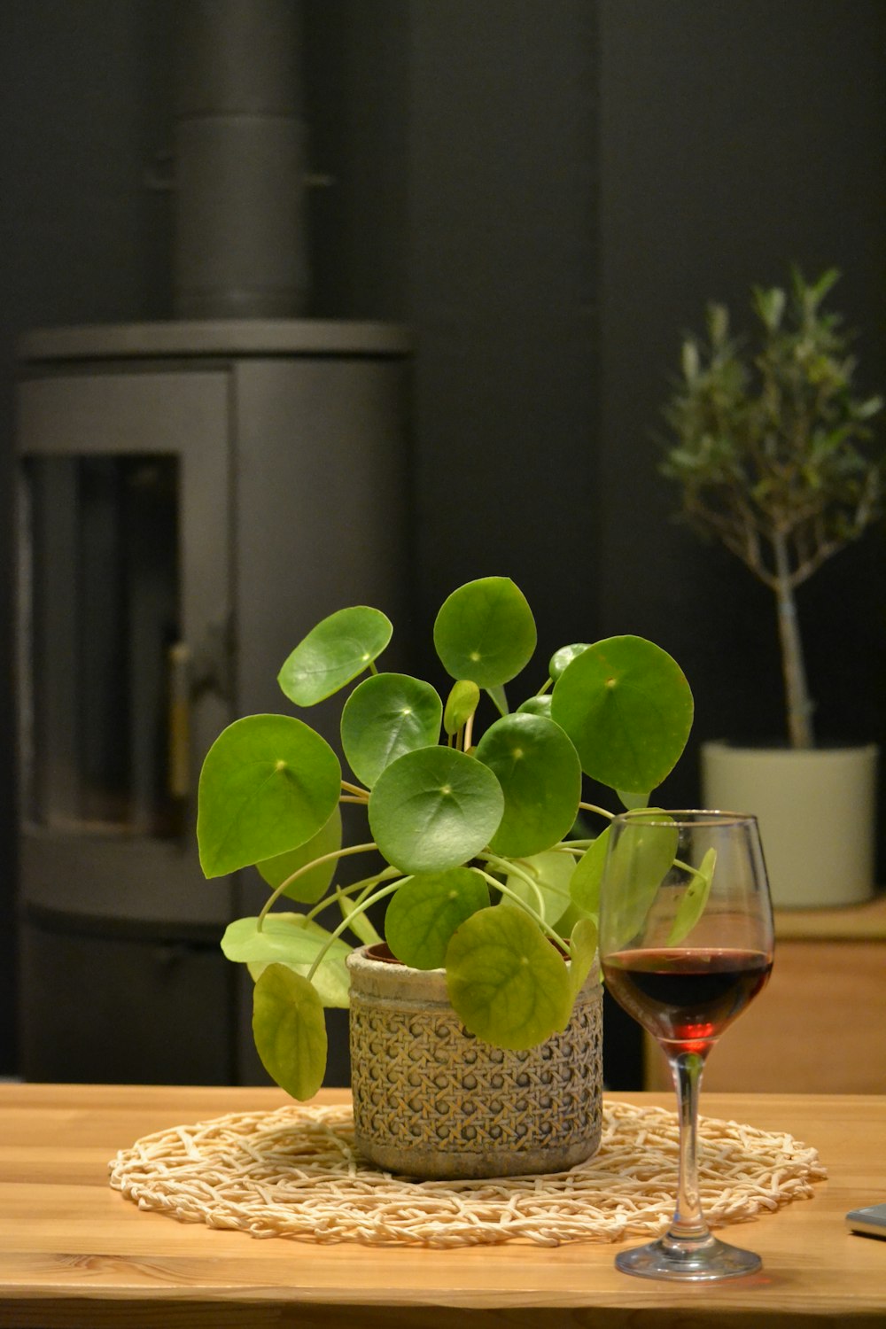 a plant in a pot next to a glass of wine