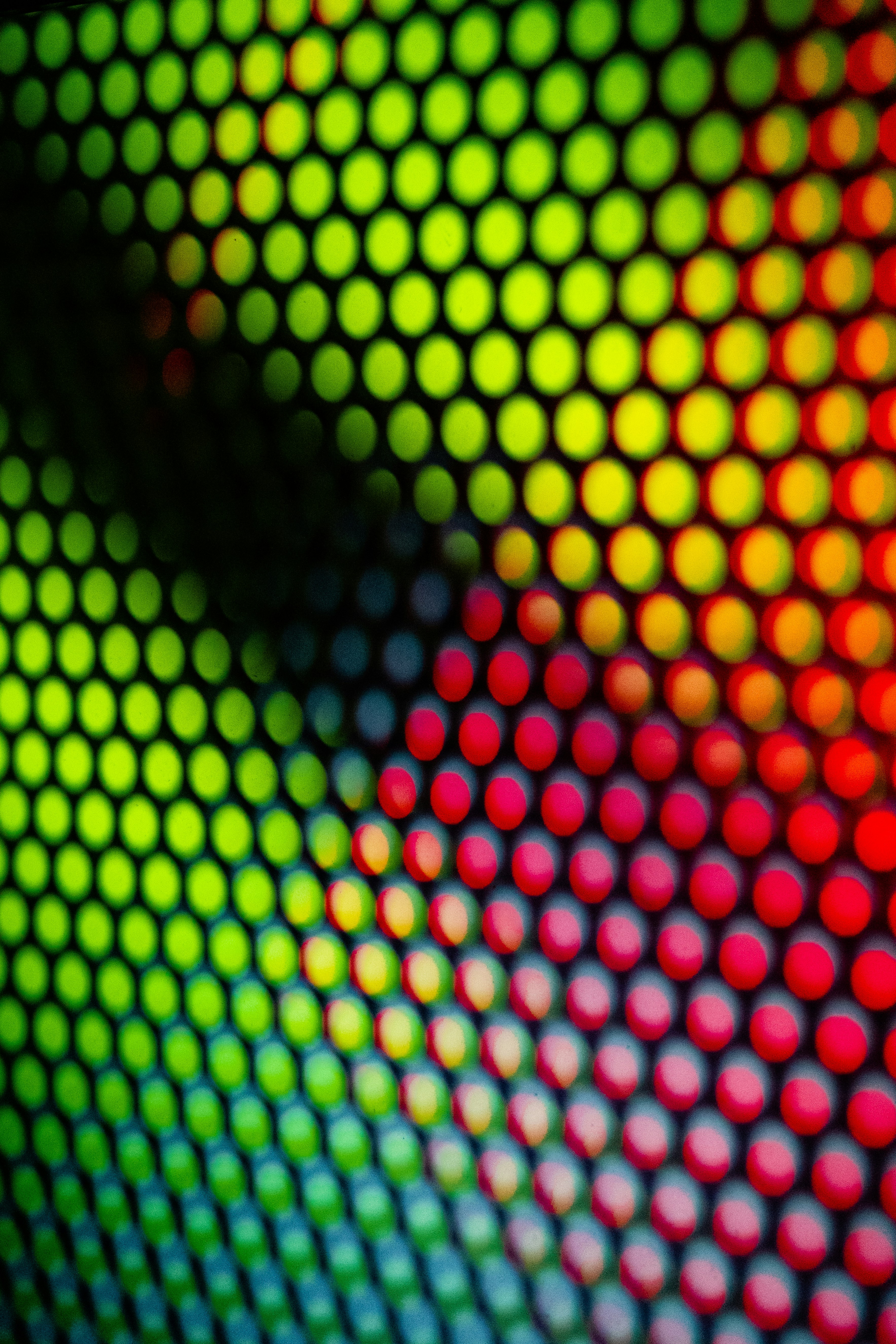 Photo by maxim_klimashin