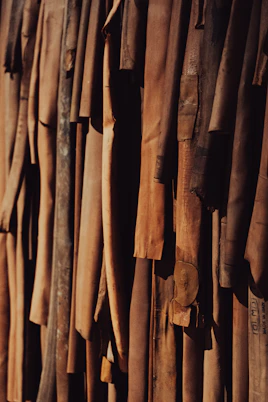 a group of sticks