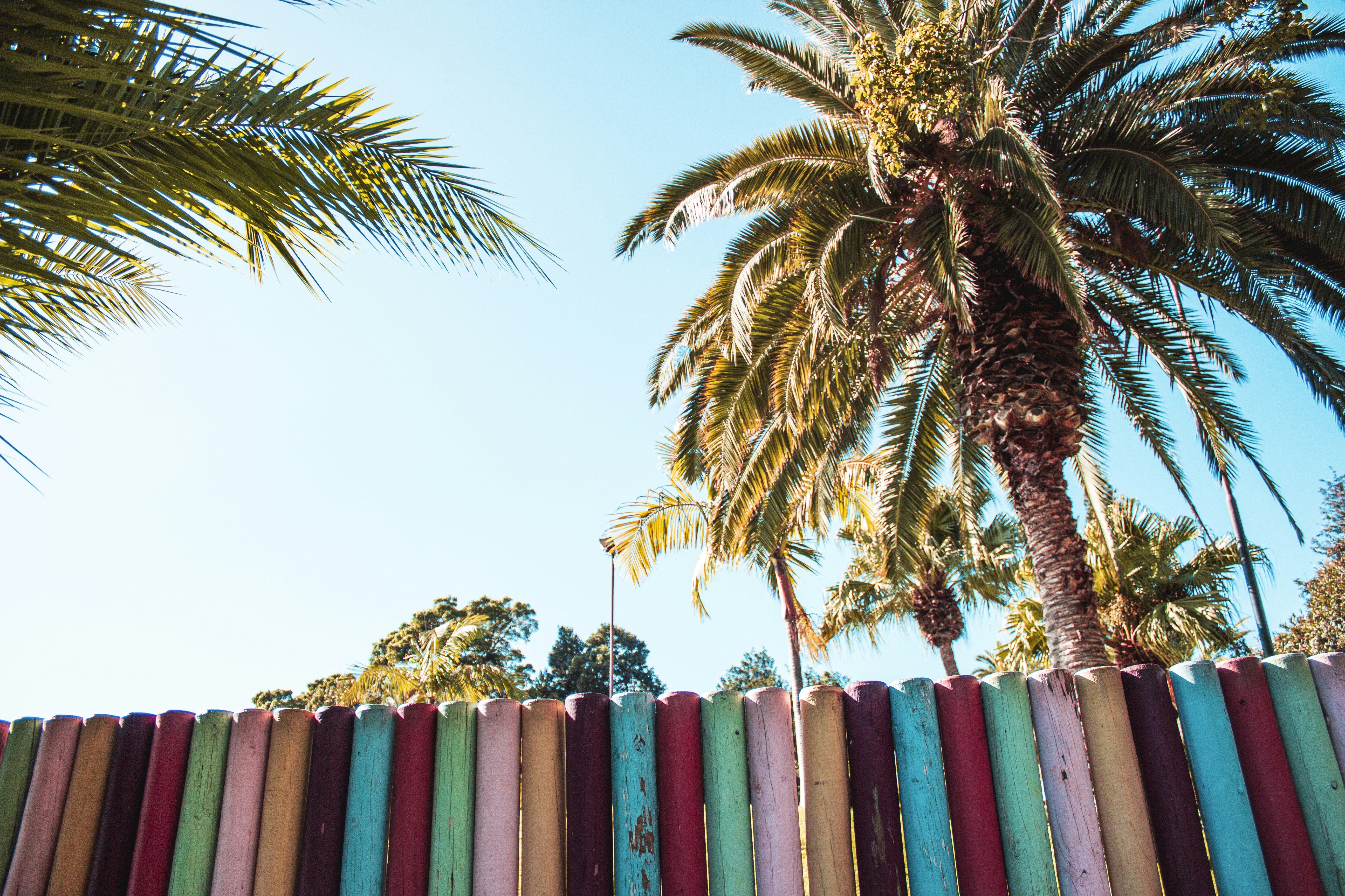 a row of colorful surfboards