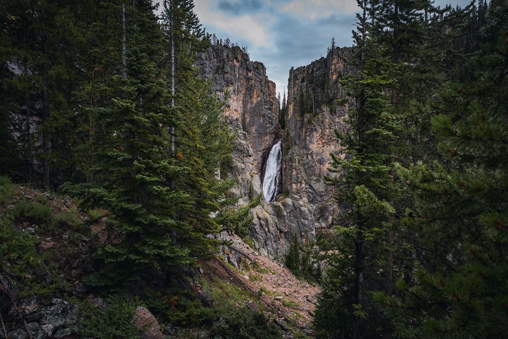 a waterfall in a forest