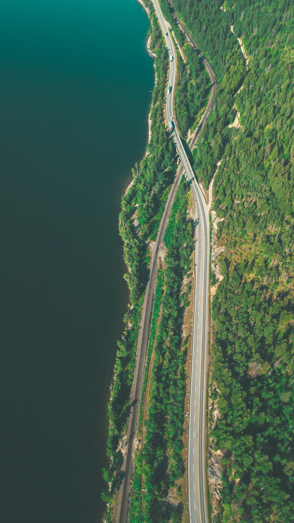 a road with trees on the side