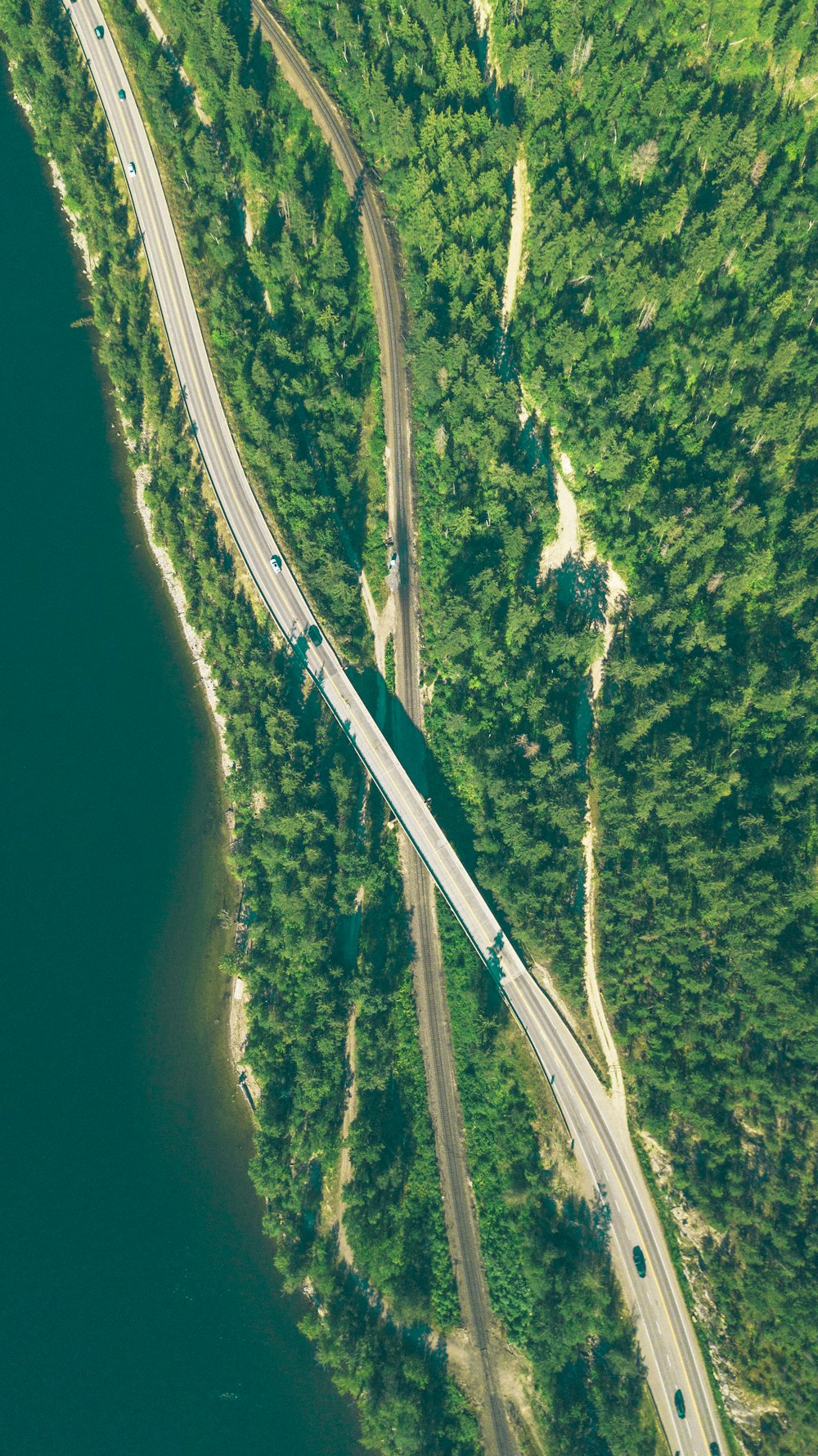 a train on a track surrounded by trees