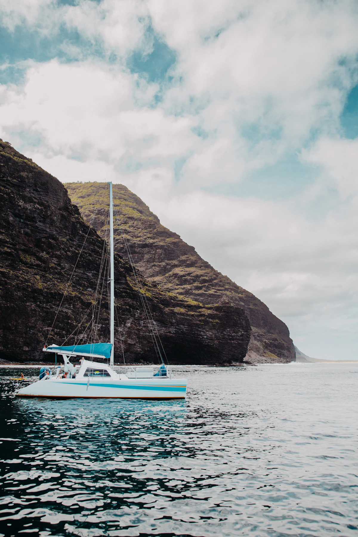 Whale & Dolphin Catamaran