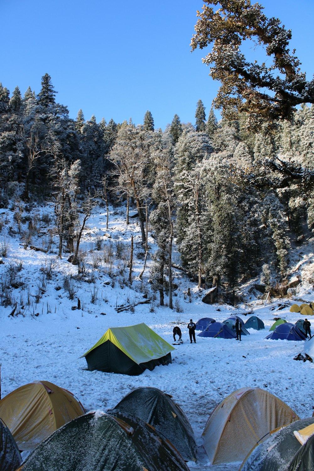 a group of people camping in the snow