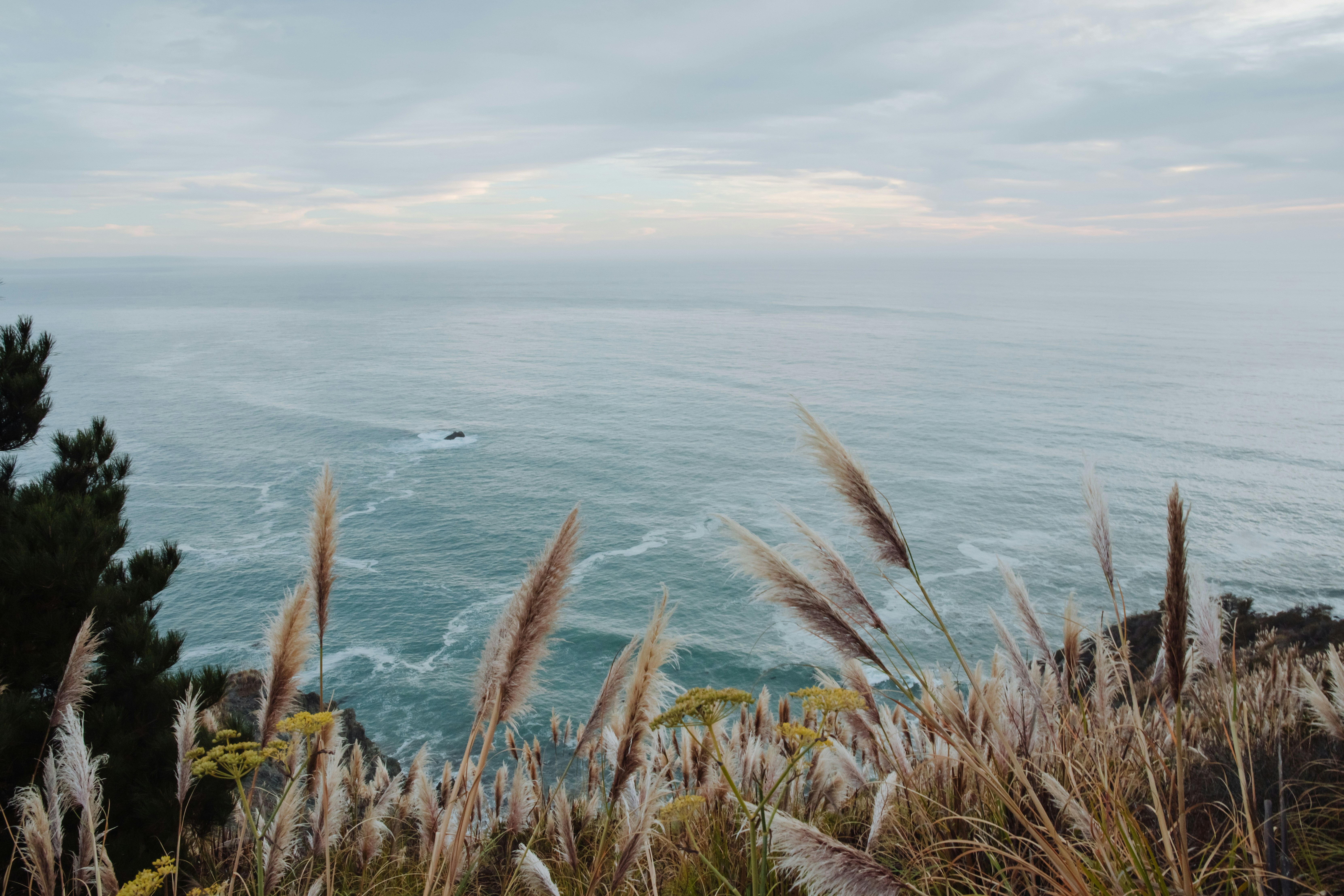 Photo by trenthaaland