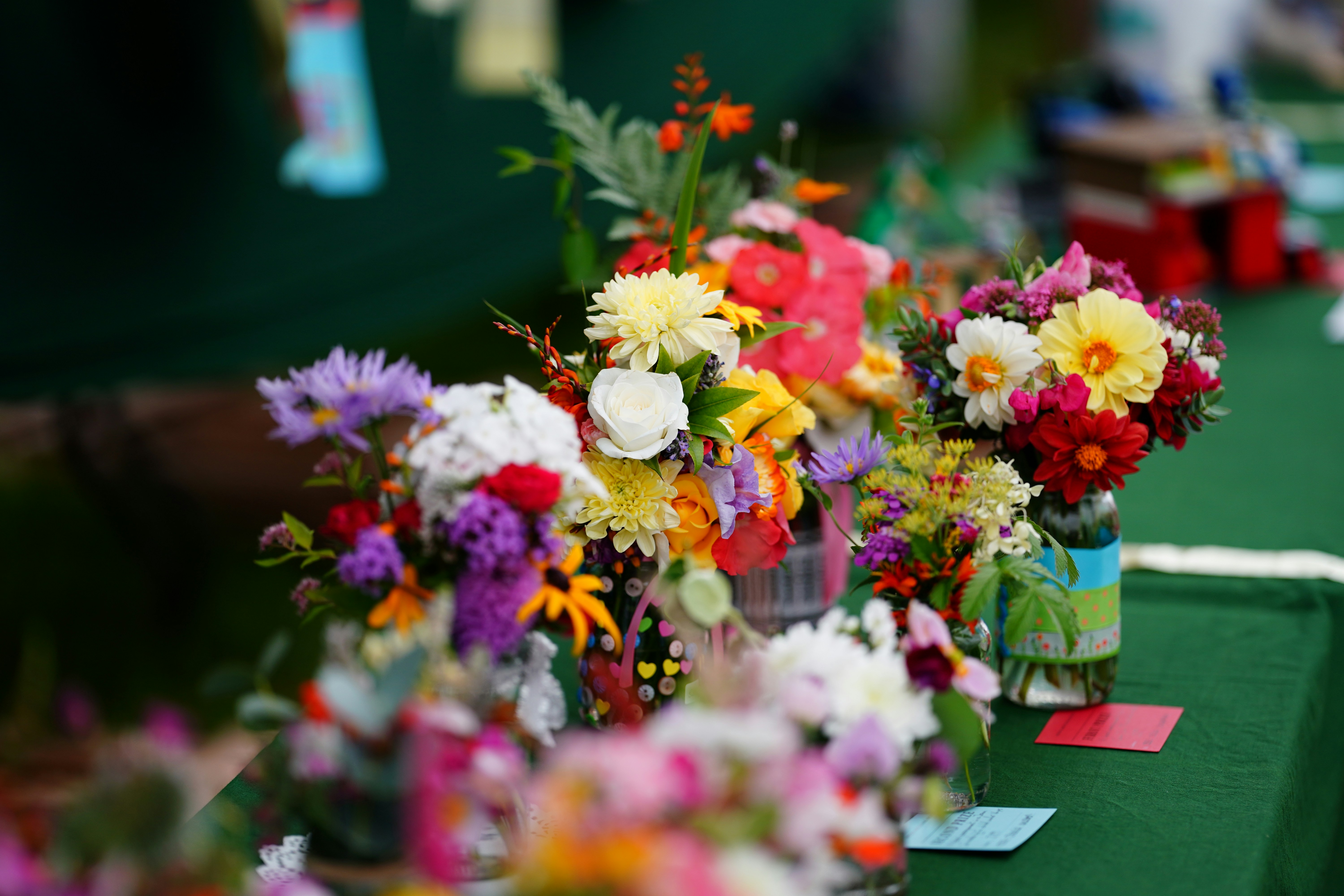 a bouquet of flowers