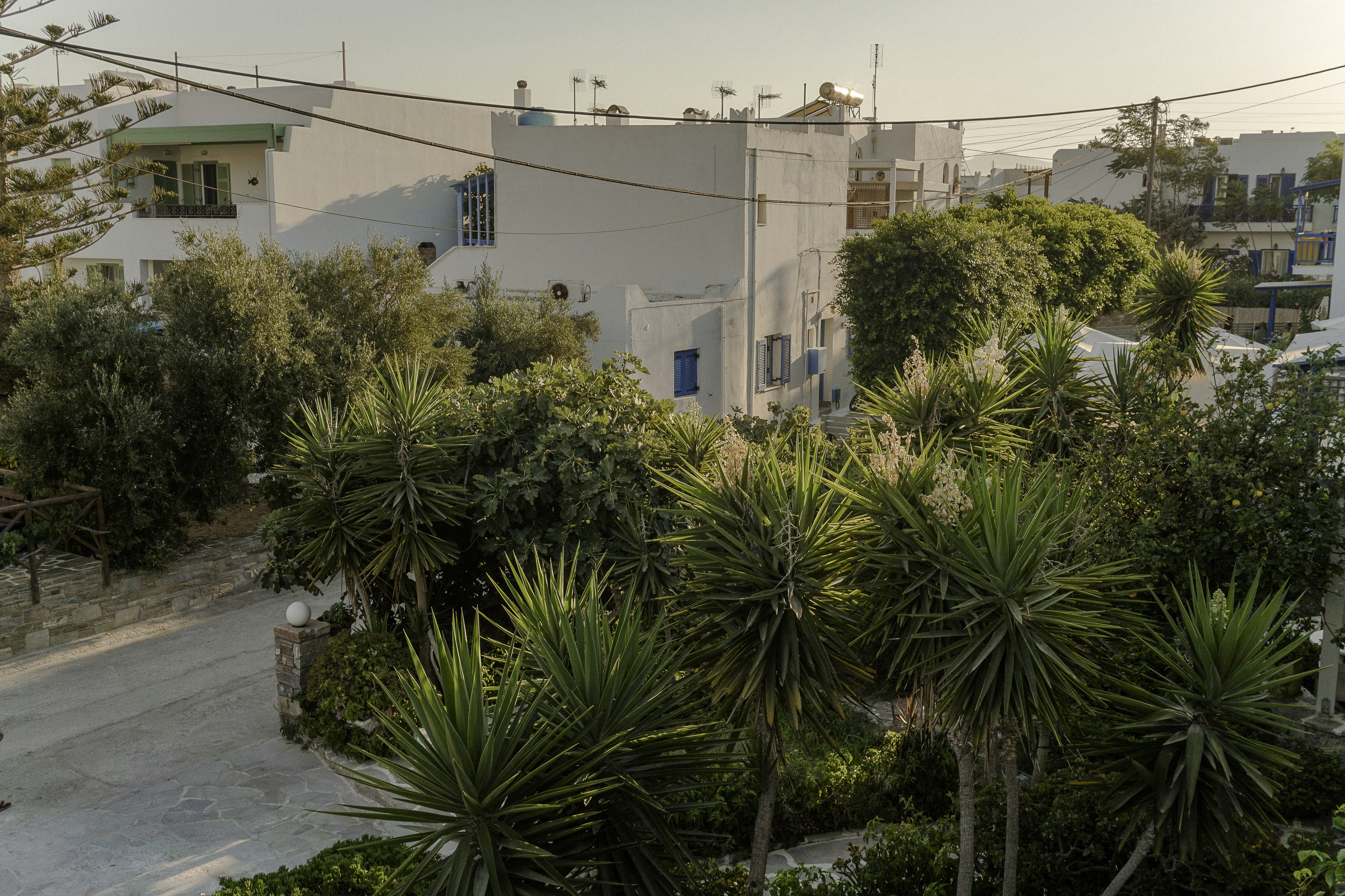 a building with trees in front of it