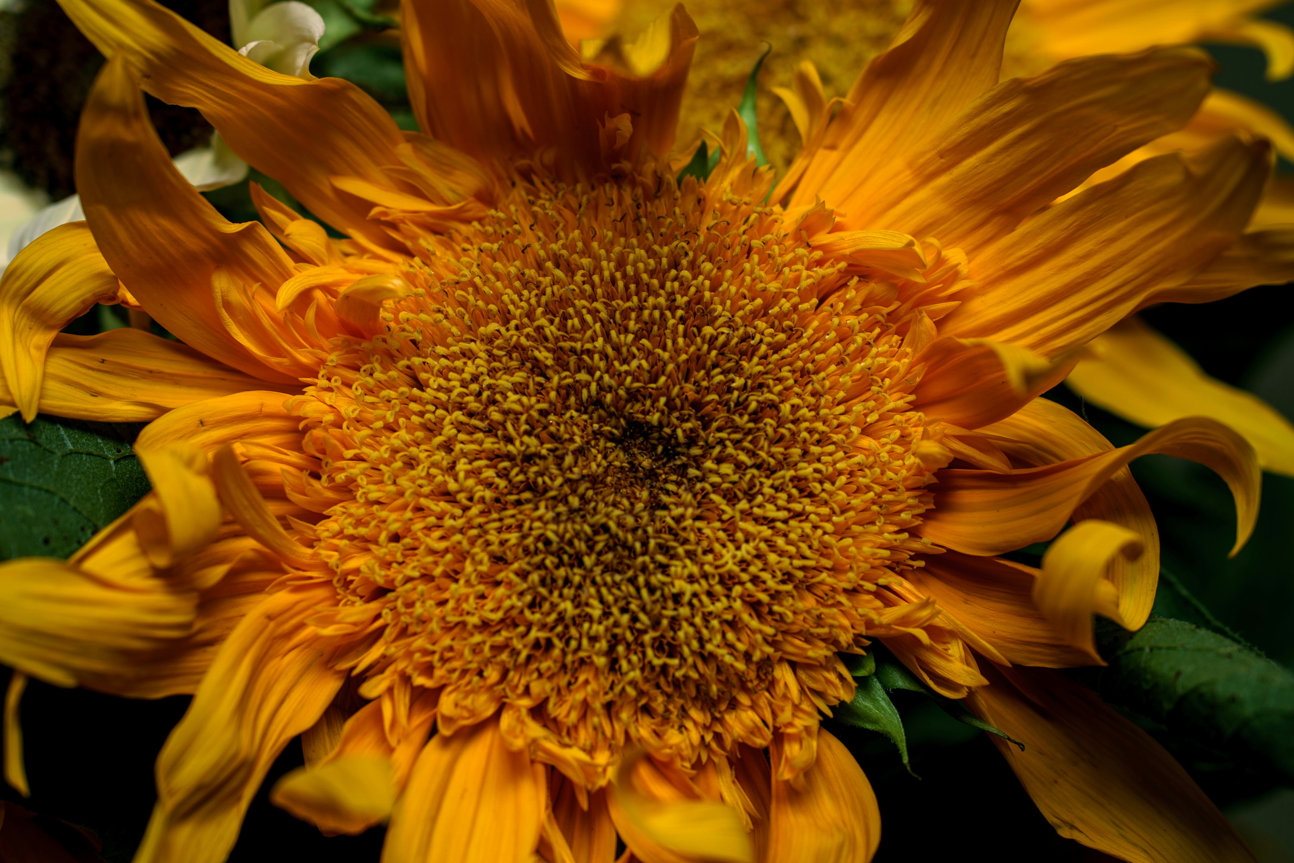 Photo by earl_plannerzone