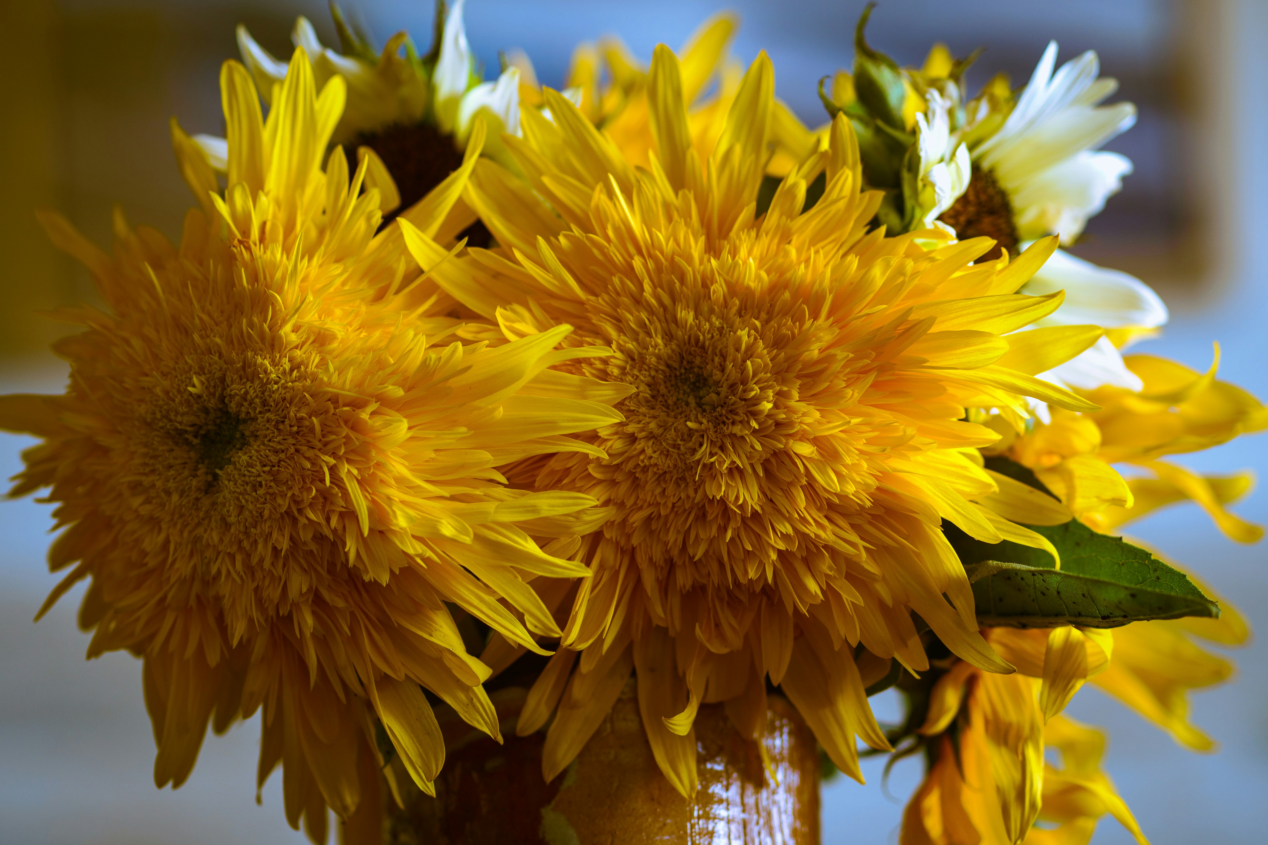 Photo by earl_plannerzone