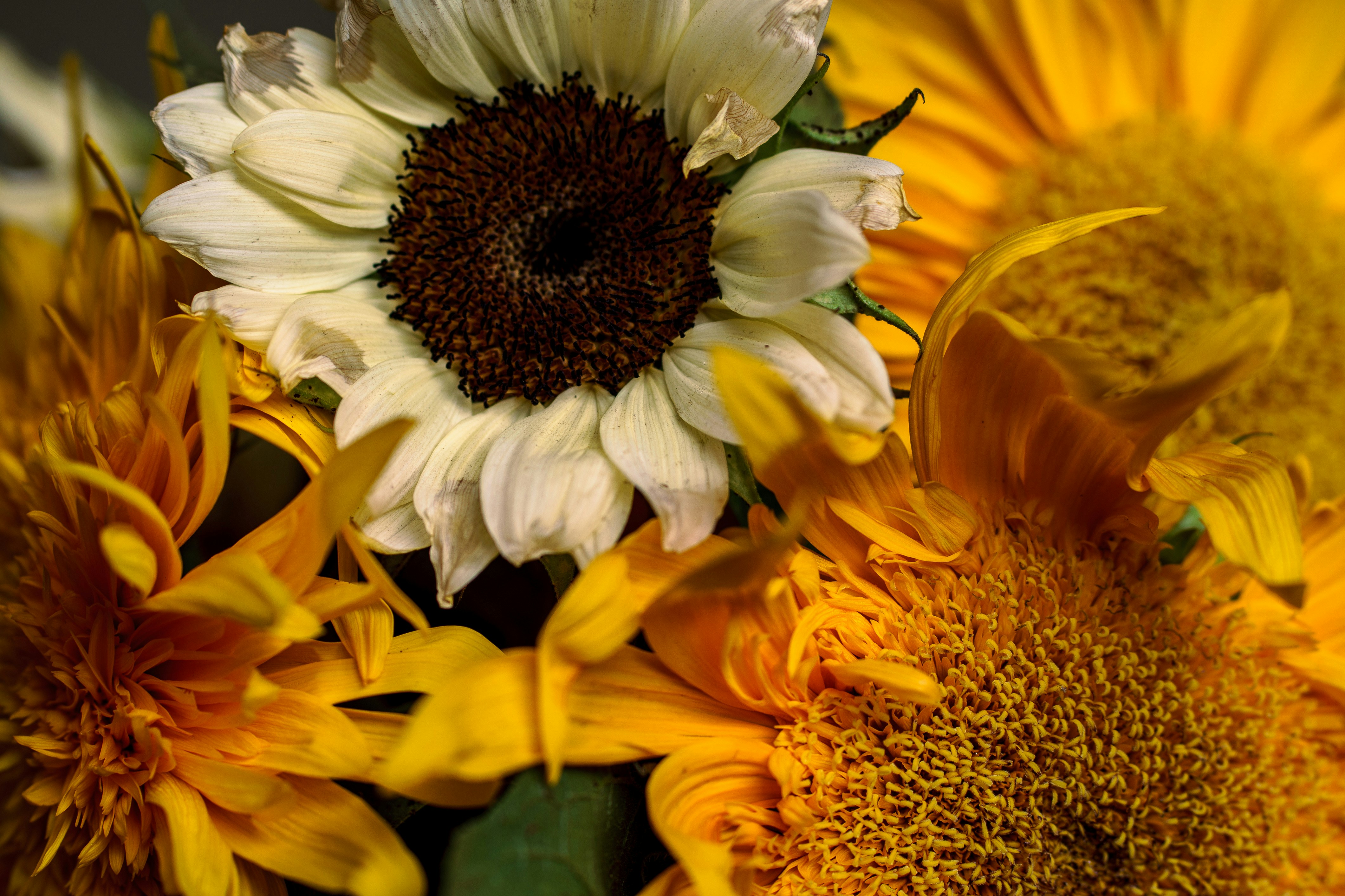 Photo by earl_plannerzone