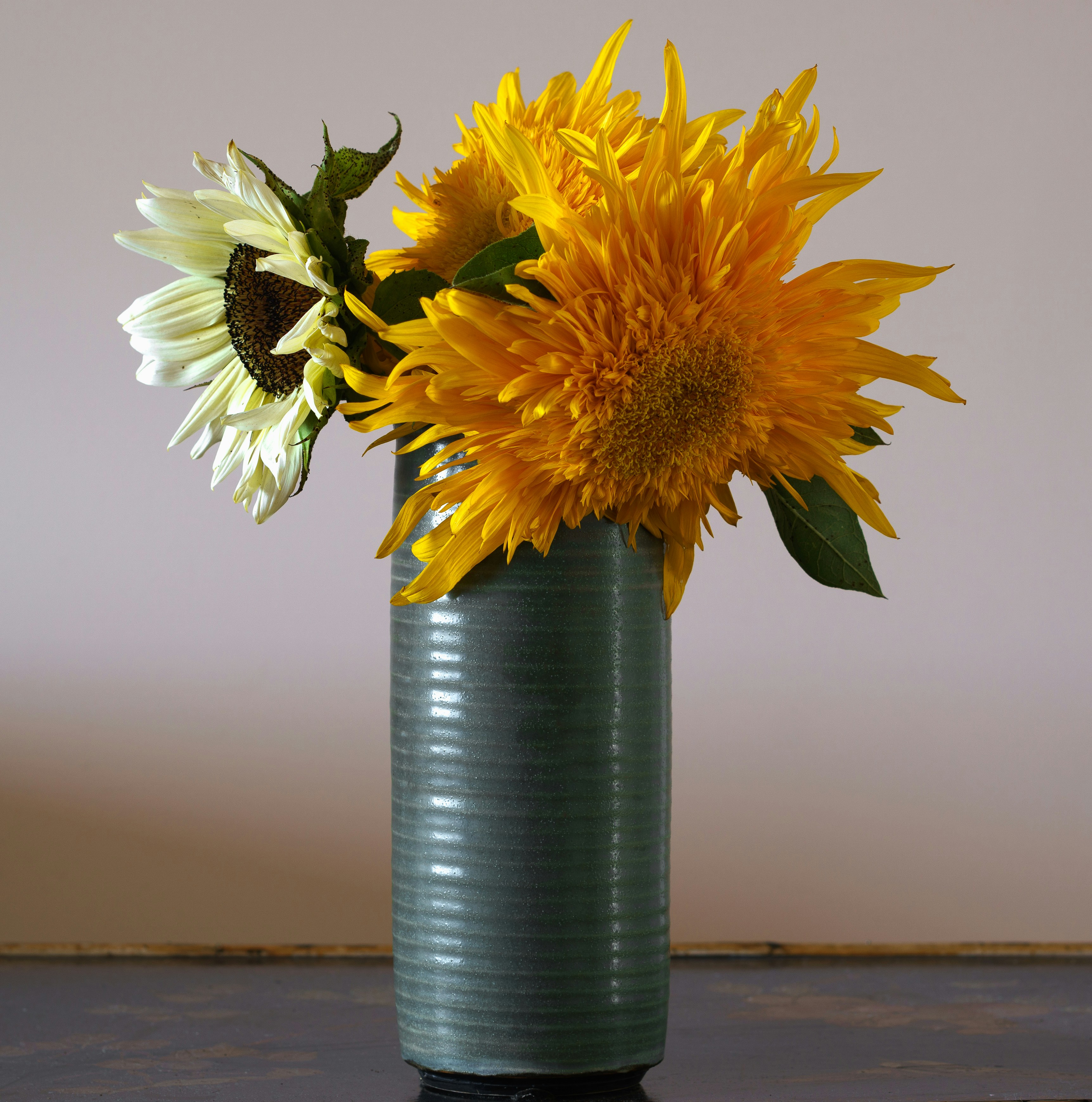 Photo by earl_plannerzone