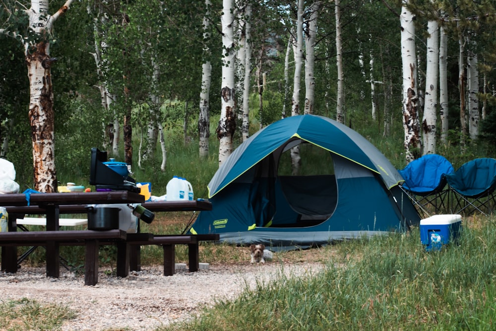 a tent and picnic table in the woods