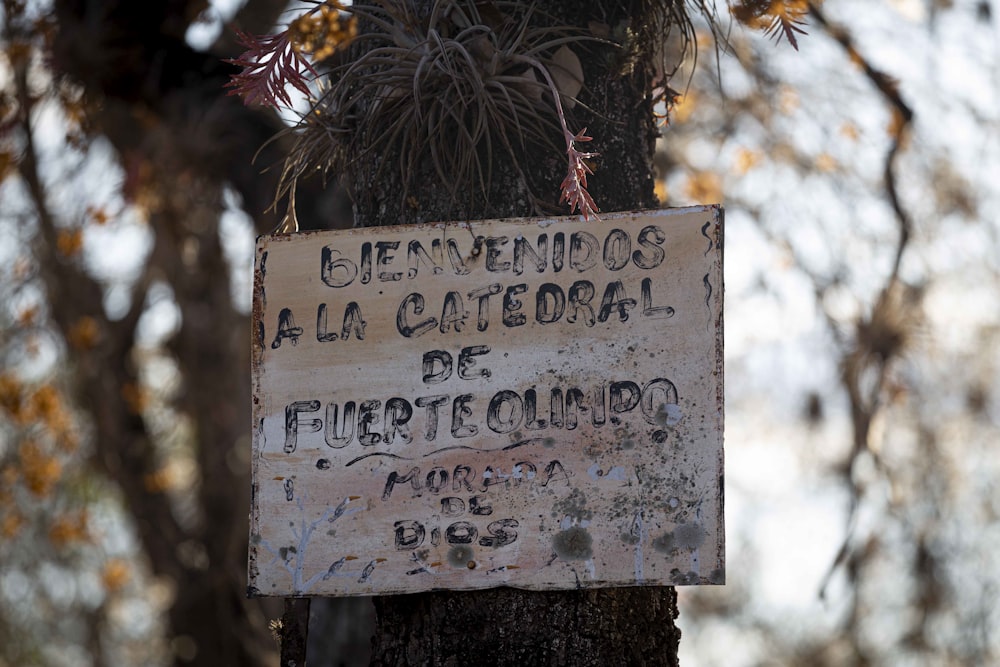 a sign on a tree