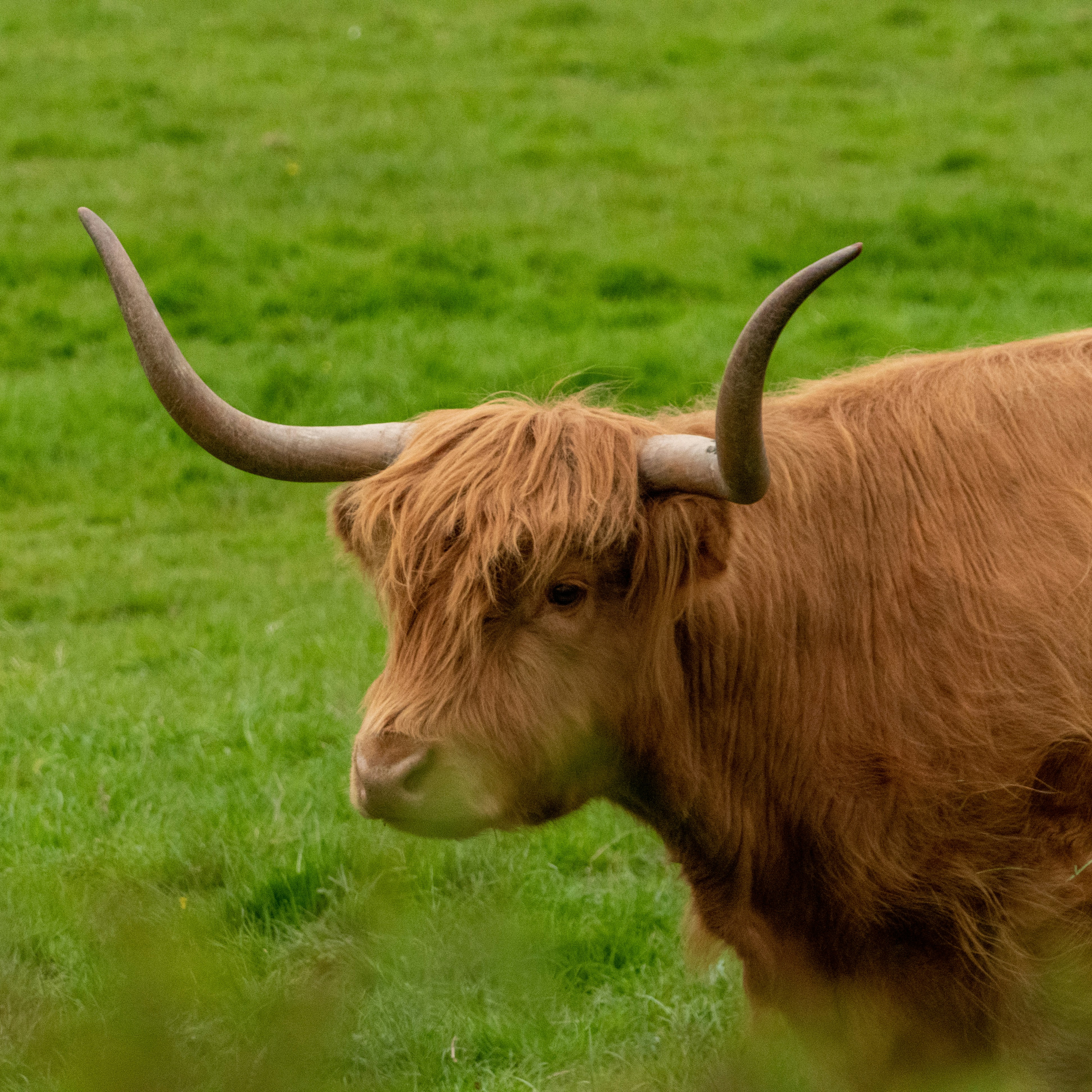 Photo by trustbattlerat