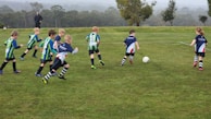 A group of young children is playing soccer energetically on a grassy field. The children are wearing striped uniforms, with some in blue and others in green. The soccer ball is in motion, and one child appears to be in control of it, leading the others. In the background, there's a forested area with trees and a misty atmosphere. An adult stands watching in the distance.