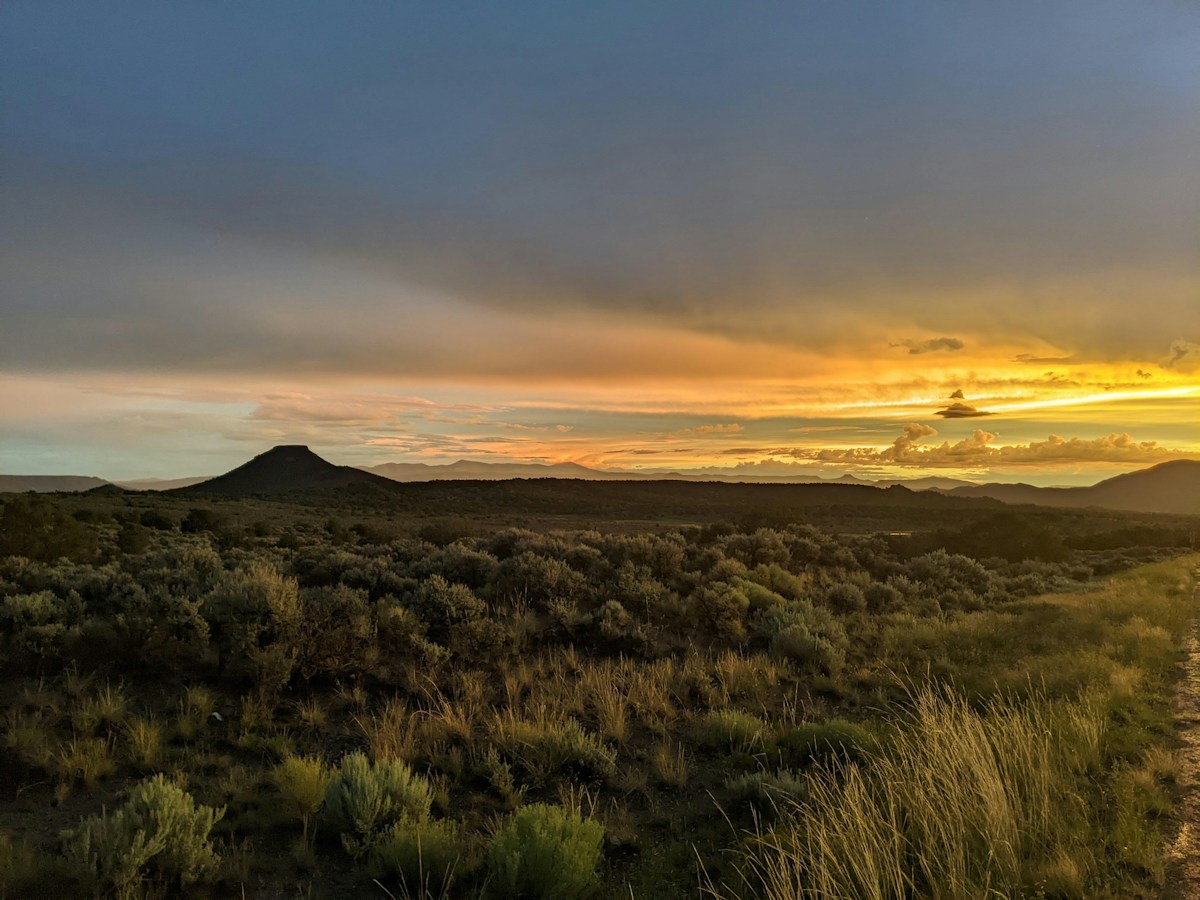 photo by Roger Oney (@rogeroney) on unsplash