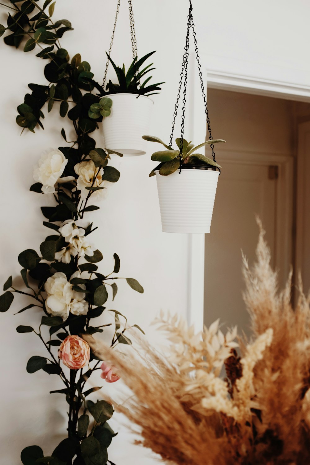 a plant with white flowers