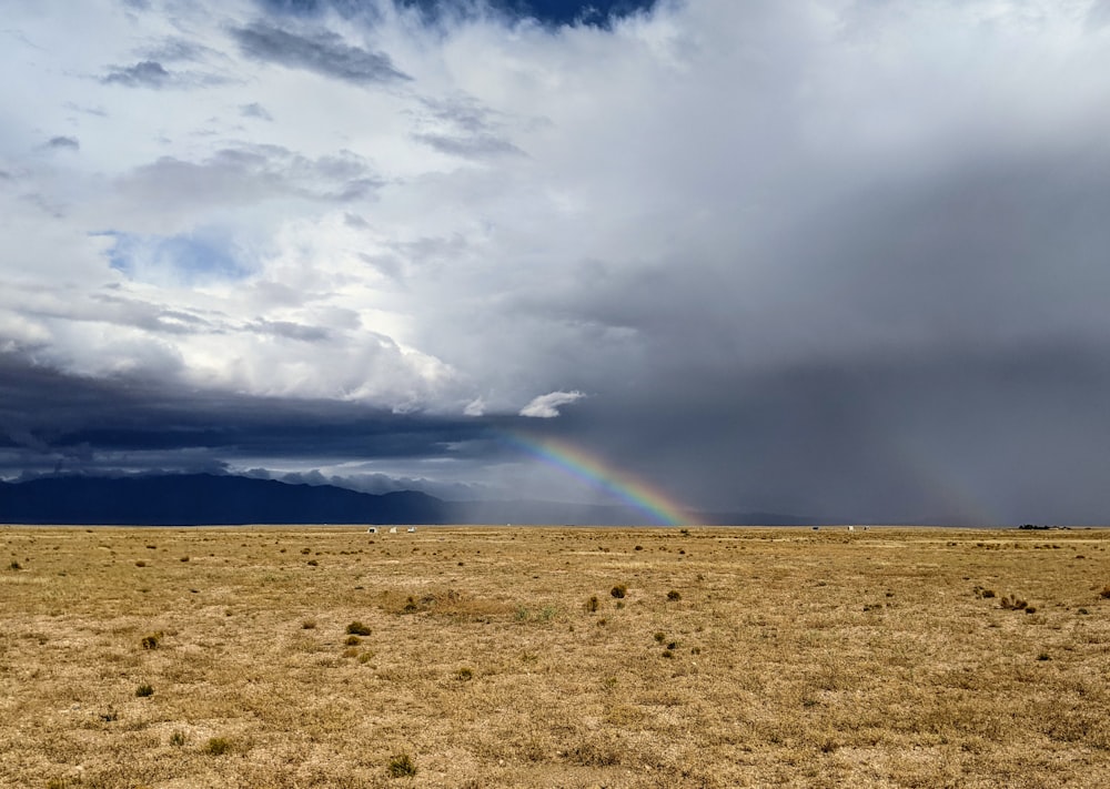 a rainbow in the sky