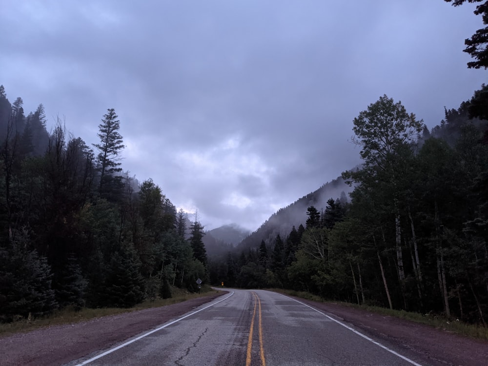 a road with trees on the side