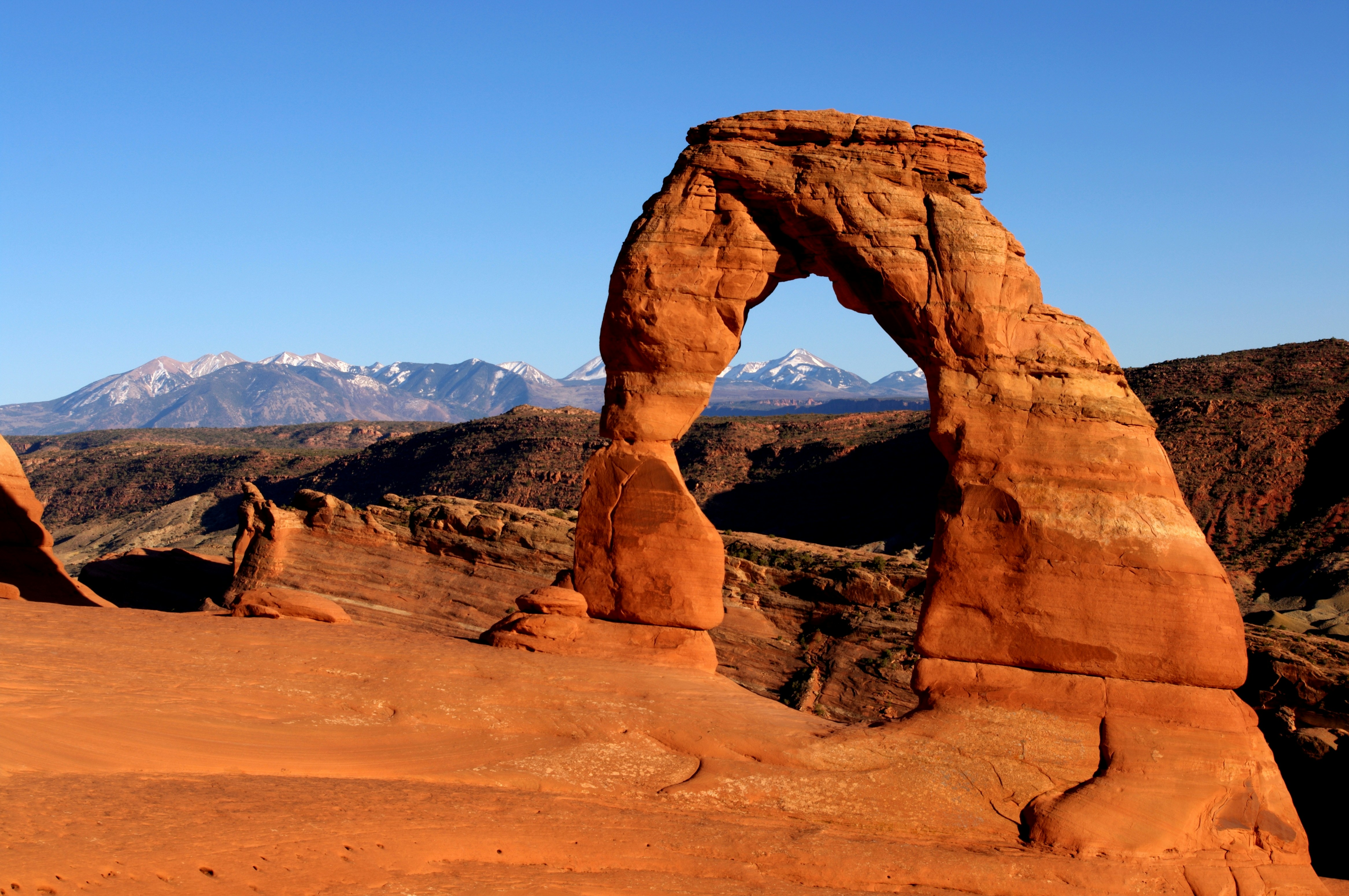 Photo by goldenplover31