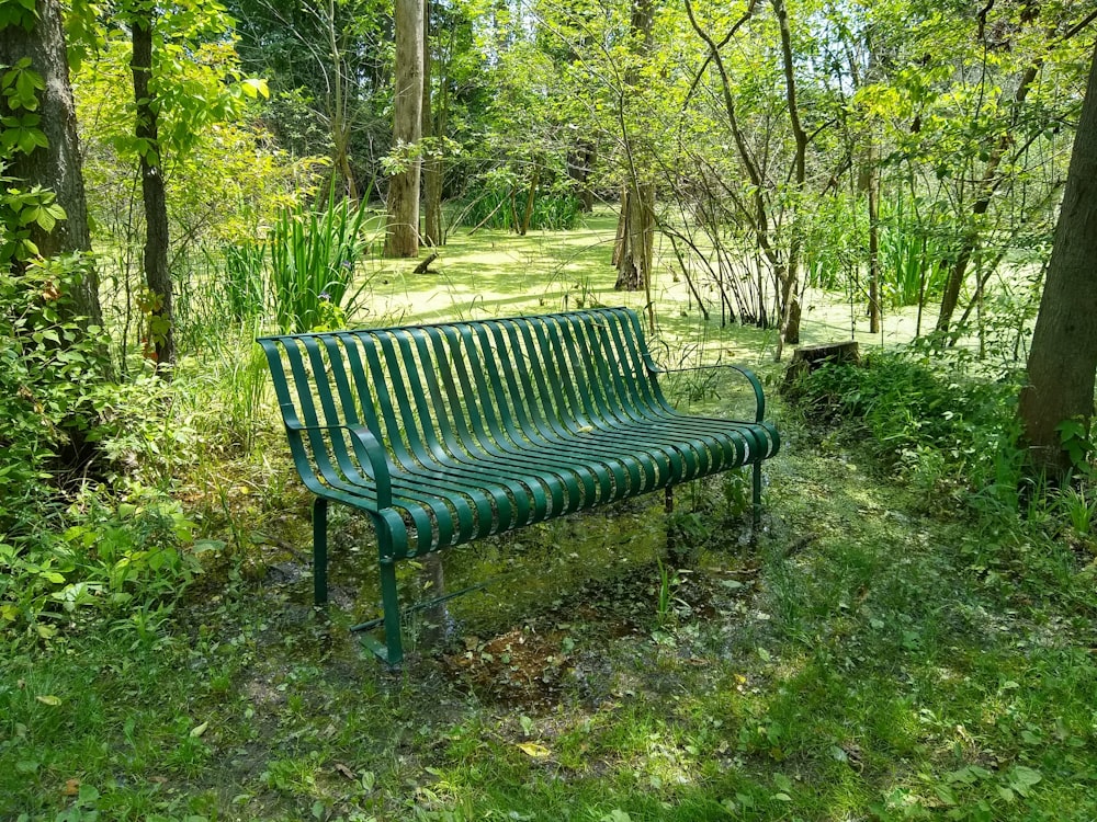 a bench in the middle of a forest